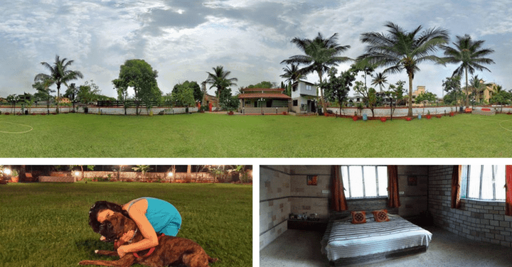 40+ Best Pet Friendly Getaways near Mumbai in 2021