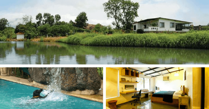 40+ Best Pet Friendly Getaways near Mumbai in 2021
