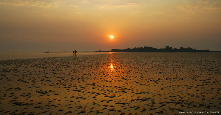 13+ Best Beaches in Alibaug For A Splendid Weekend Holiday