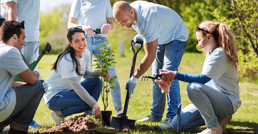 Create a Garden